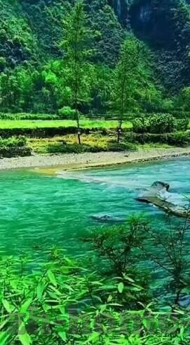 比分足球胜平负-解码比分足球胜平负，洞察赛场风云的智慧密码