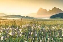 财付通足球比分-财付通与足球比分，科技赋能体育观赛新体验